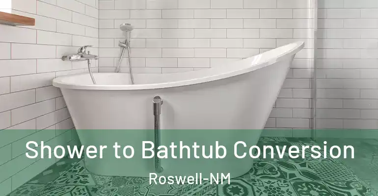 inner Bathroom imggen Shower to Bathtub Conversion Roswell-NM