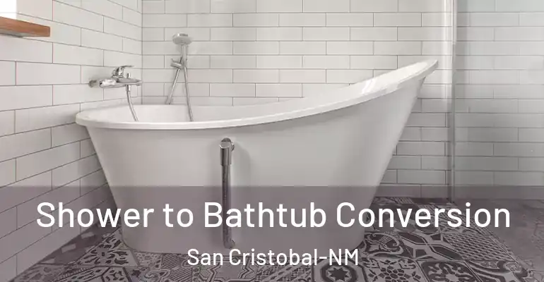 inner Bathroom imggen Shower to Bathtub Conversion San Cristobal-NM