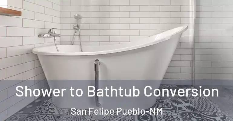 inner Bathroom imggen Shower to Bathtub Conversion San Felipe Pueblo-NM