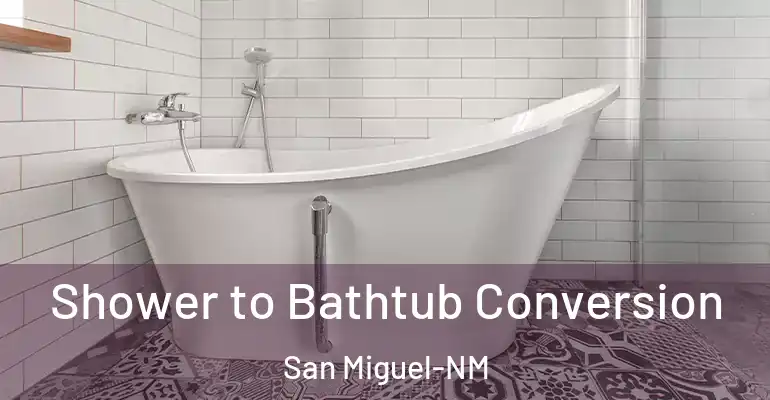 inner Bathroom imggen Shower to Bathtub Conversion San Miguel-NM