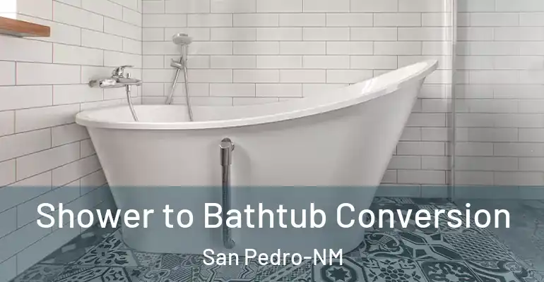 inner Bathroom imggen Shower to Bathtub Conversion San Pedro-NM
