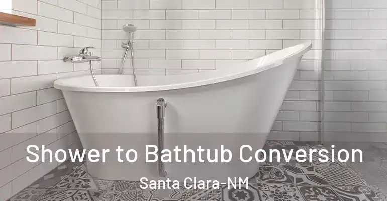 inner Bathroom imggen Shower to Bathtub Conversion Santa Clara-NM