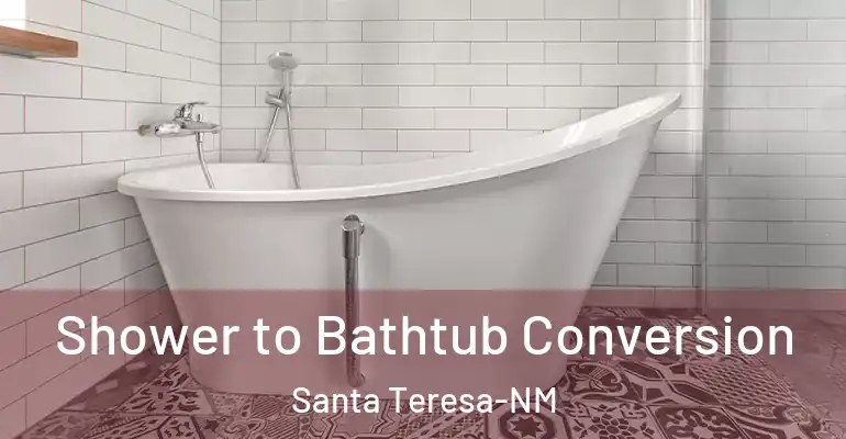 inner Bathroom imggen Shower to Bathtub Conversion Santa Teresa-NM