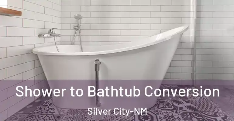 inner Bathroom imggen Shower to Bathtub Conversion Silver City-NM