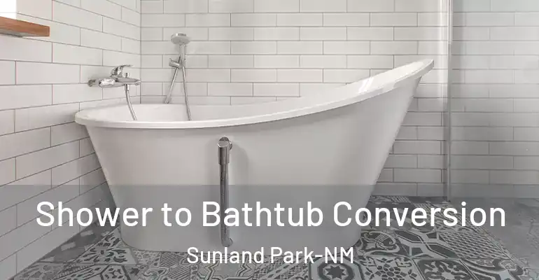 inner Bathroom imggen Shower to Bathtub Conversion Sunland Park-NM
