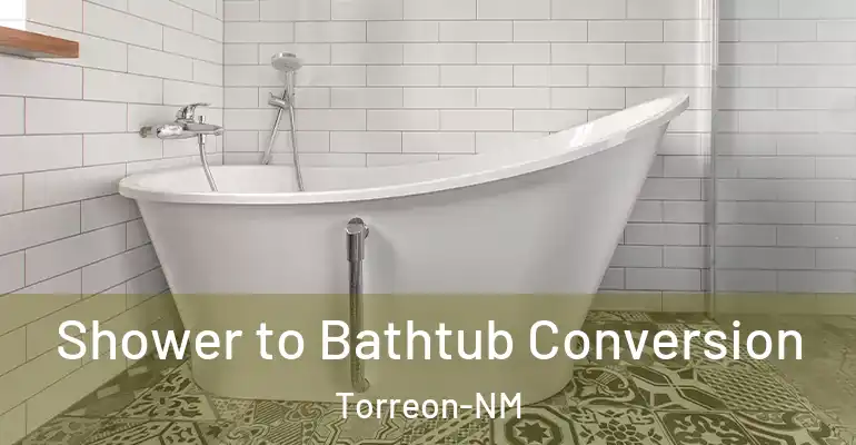inner Bathroom imggen Shower to Bathtub Conversion Torreon-NM