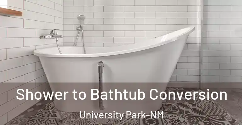 inner Bathroom imggen Shower to Bathtub Conversion University Park-NM