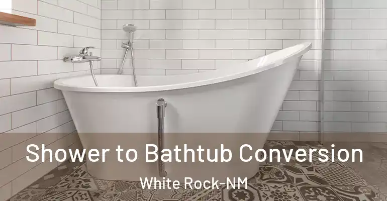 inner Bathroom imggen Shower to Bathtub Conversion White Rock-NM
