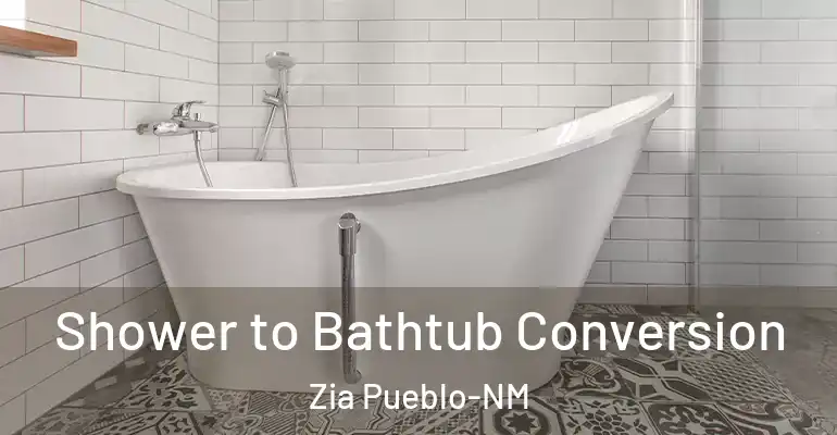 inner Bathroom imggen Shower to Bathtub Conversion Zia Pueblo-NM