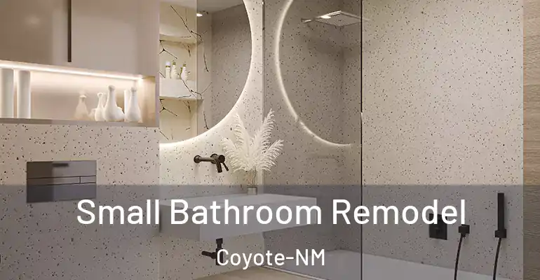 inner Bathroom imggen Small Bathroom Remodel Coyote-NM