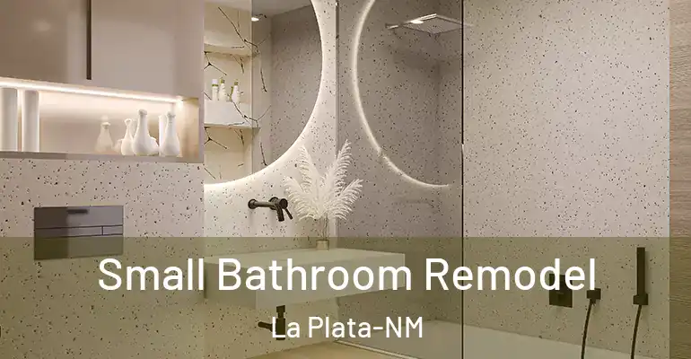 inner Bathroom imggen Small Bathroom Remodel La Plata-NM