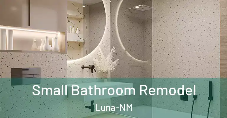 inner Bathroom imggen Small Bathroom Remodel Luna-NM