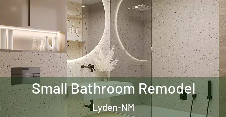 inner Bathroom imggen Small Bathroom Remodel Lyden-NM