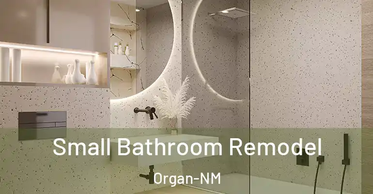 inner Bathroom imggen Small Bathroom Remodel Organ-NM