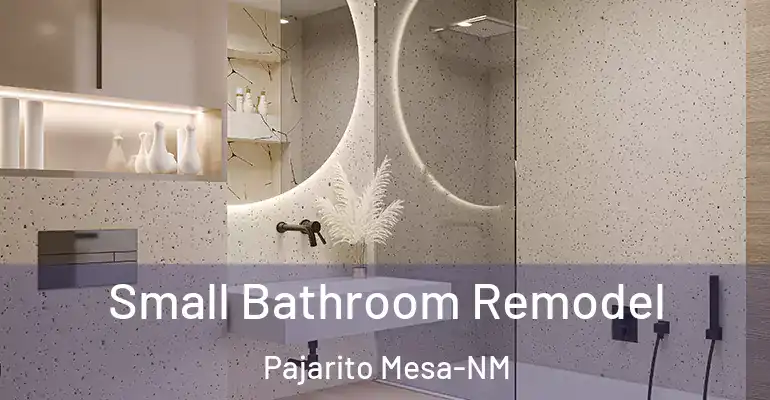 inner Bathroom imggen Small Bathroom Remodel Pajarito Mesa-NM