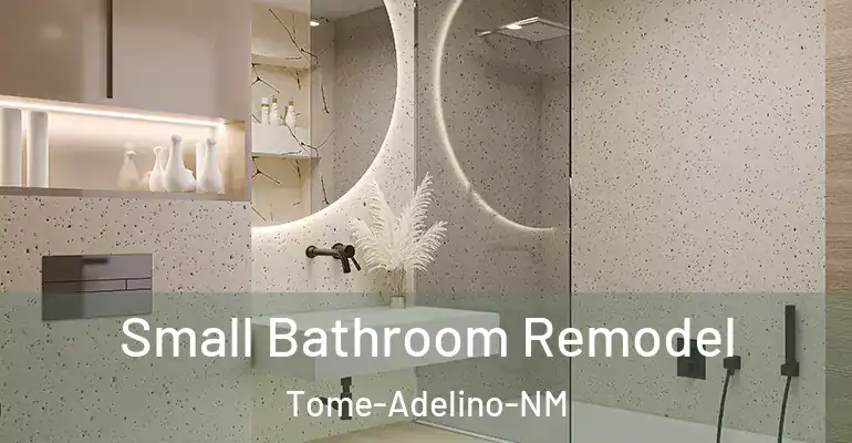 inner Bathroom imggen Small Bathroom Remodel Tome-Adelino-NM