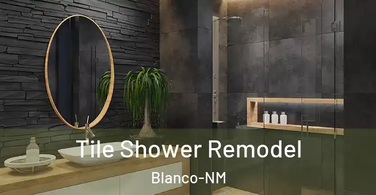 inner Bathroom imggen Tile Shower Remodel Blanco-NM