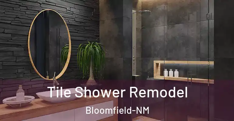 inner Bathroom imggen Tile Shower Remodel Bloomfield-NM