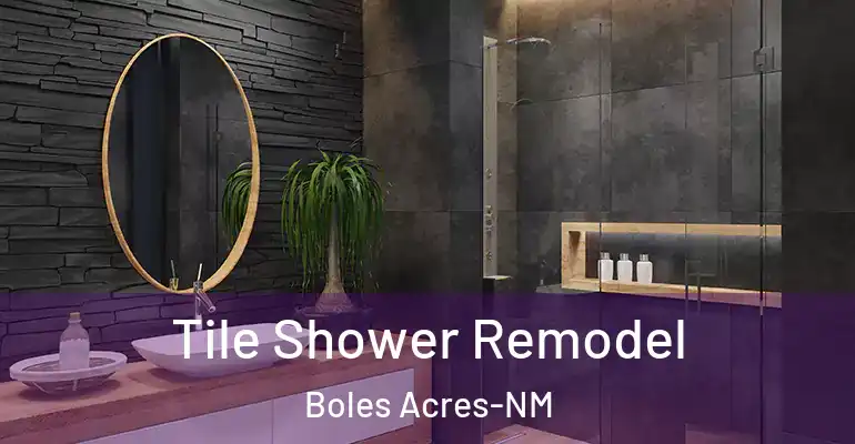 inner Bathroom imggen Tile Shower Remodel Boles Acres-NM
