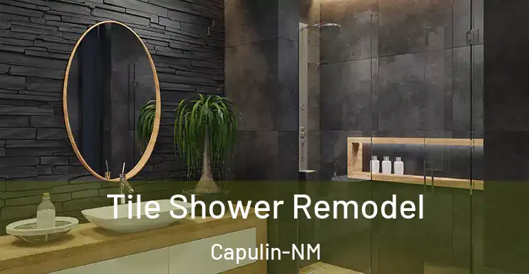 inner Bathroom imggen Tile Shower Remodel Capulin-NM