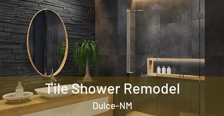 inner Bathroom imggen Tile Shower Remodel Dulce-NM