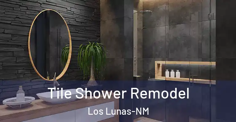 inner Bathroom imggen Tile Shower Remodel Los Lunas-NM