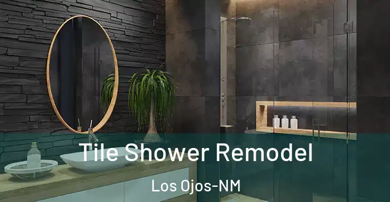 inner Bathroom imggen Tile Shower Remodel Los Ojos-NM
