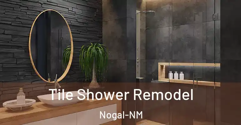 inner Bathroom imggen Tile Shower Remodel Nogal-NM