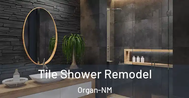 inner Bathroom imggen Tile Shower Remodel Organ-NM