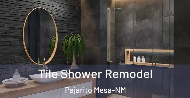 inner Bathroom imggen Tile Shower Remodel Pajarito Mesa-NM
