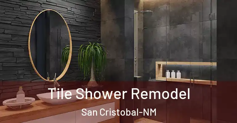 inner Bathroom imggen Tile Shower Remodel San Cristobal-NM