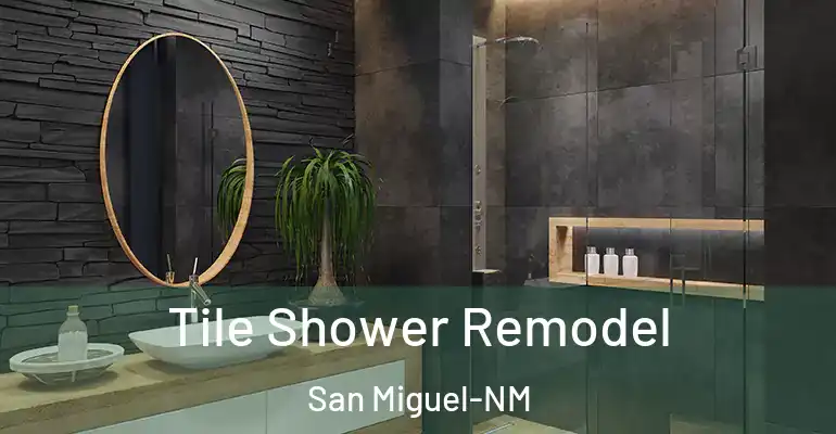 inner Bathroom imggen Tile Shower Remodel San Miguel-NM
