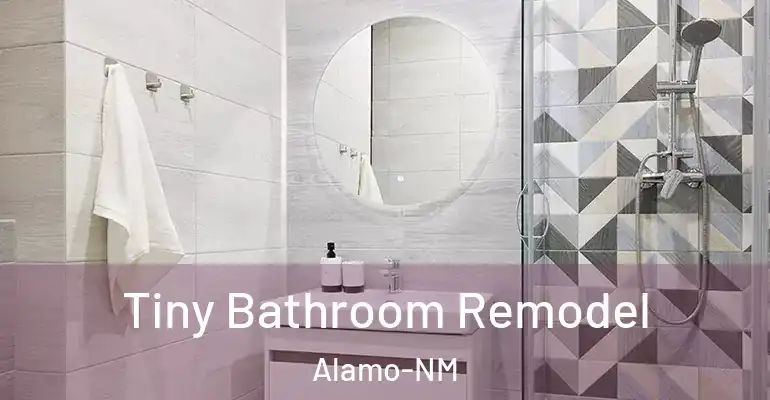 inner Bathroom imggen Tiny Bathroom Remodel Alamo-NM
