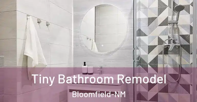inner Bathroom imggen Tiny Bathroom Remodel Bloomfield-NM