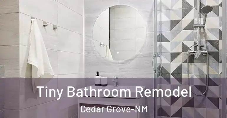inner Bathroom imggen Tiny Bathroom Remodel Cedar Grove-NM