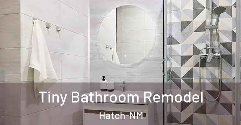 inner Bathroom imggen Tiny Bathroom Remodel Hatch-NM