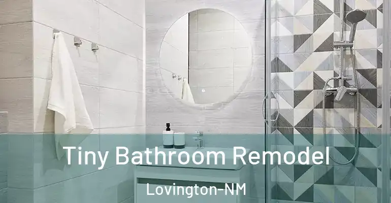inner Bathroom imggen Tiny Bathroom Remodel Lovington-NM