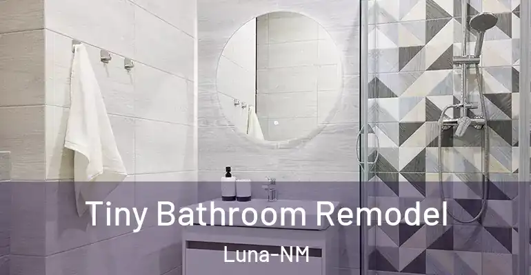 inner Bathroom imggen Tiny Bathroom Remodel Luna-NM