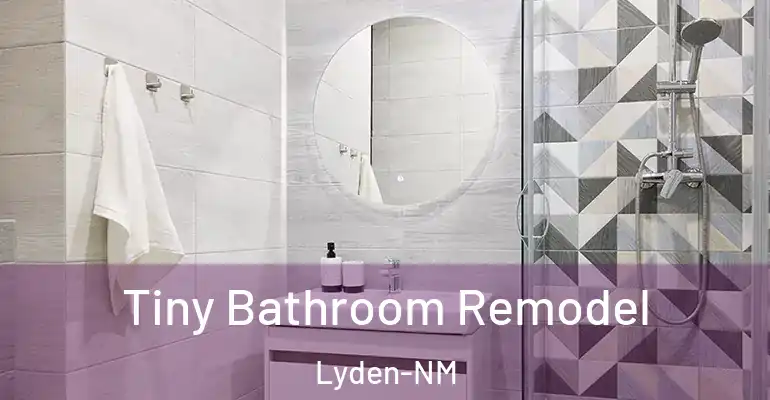 inner Bathroom imggen Tiny Bathroom Remodel Lyden-NM