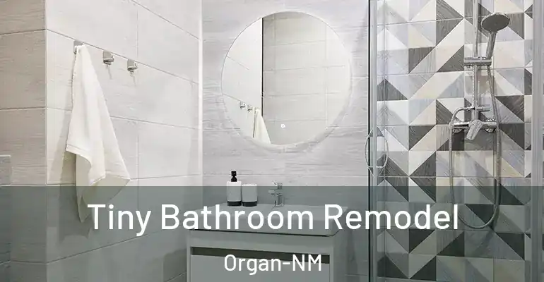 inner Bathroom imggen Tiny Bathroom Remodel Organ-NM