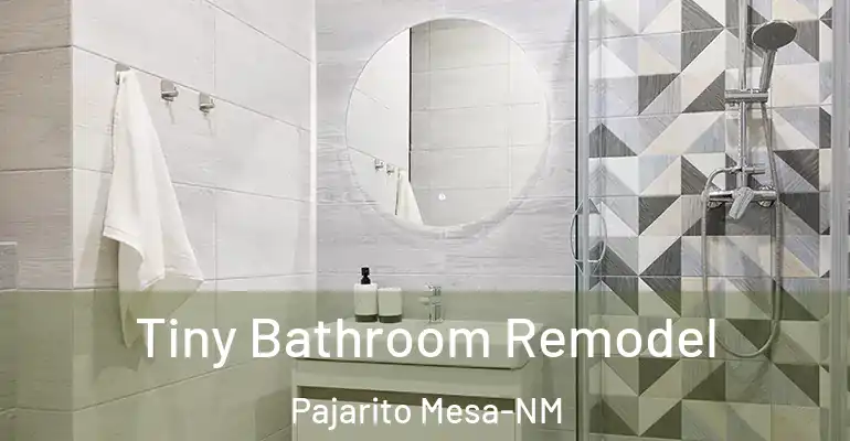 inner Bathroom imggen Tiny Bathroom Remodel Pajarito Mesa-NM