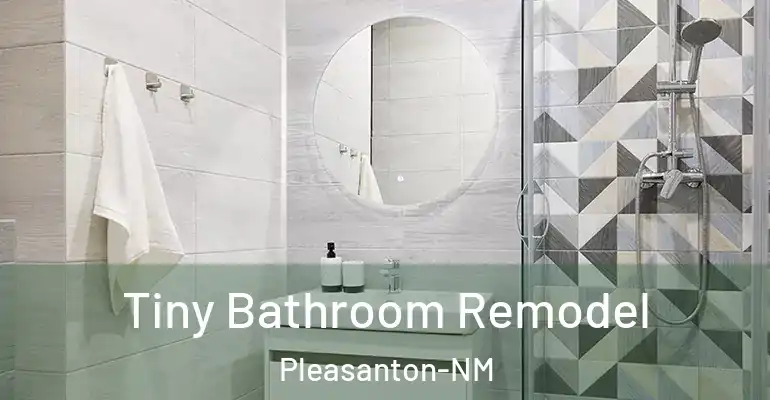 inner Bathroom imggen Tiny Bathroom Remodel Pleasanton-NM