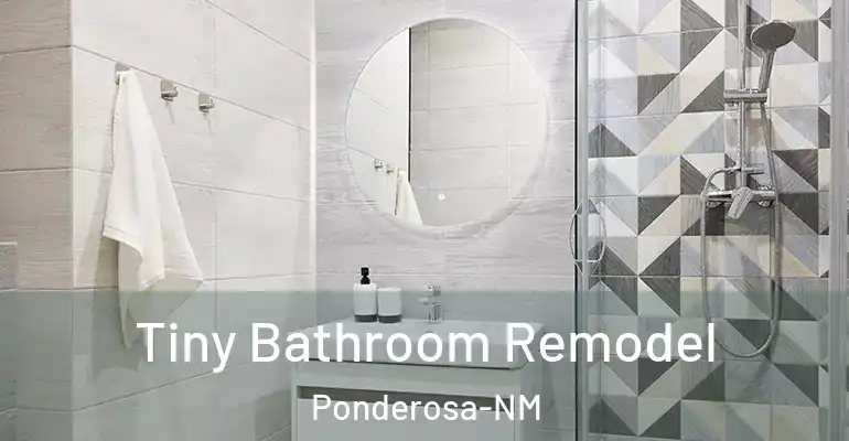 inner Bathroom imggen Tiny Bathroom Remodel Ponderosa-NM
