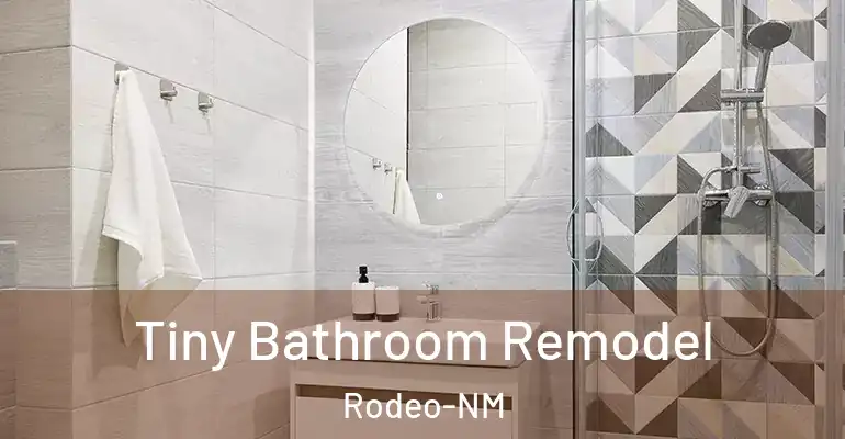 inner Bathroom imggen Tiny Bathroom Remodel Rodeo-NM