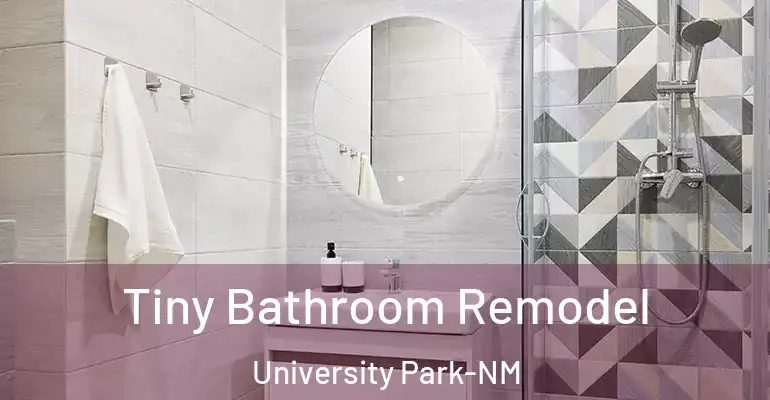 inner Bathroom imggen Tiny Bathroom Remodel University Park-NM