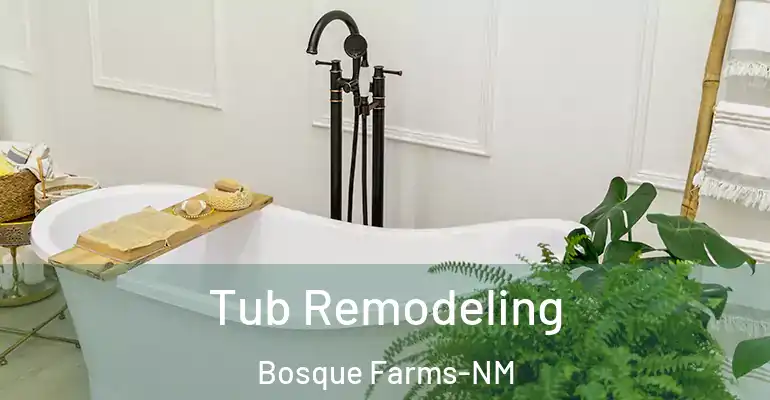 inner Bathroom imggen Tub Remodeling Bosque Farms-NM