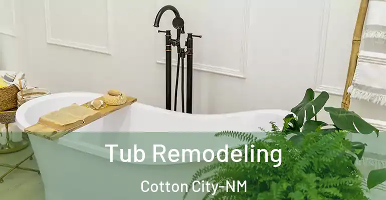 inner Bathroom imggen Tub Remodeling Cotton City-NM