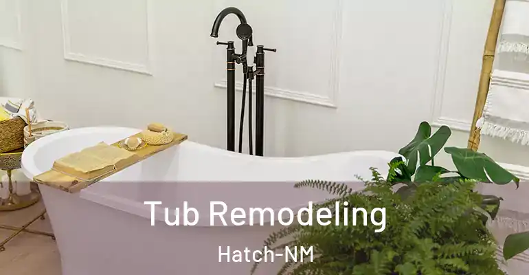 inner Bathroom imggen Tub Remodeling Hatch-NM