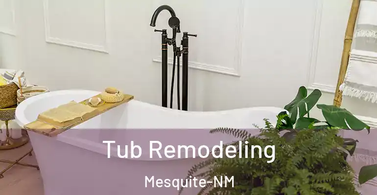 inner Bathroom imggen Tub Remodeling Mesquite-NM