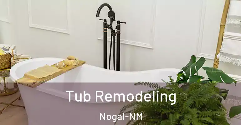 inner Bathroom imggen Tub Remodeling Nogal-NM